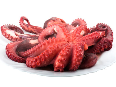 pulpo